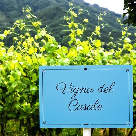 Agriturismo Guerritore Барониси Екстериор снимка