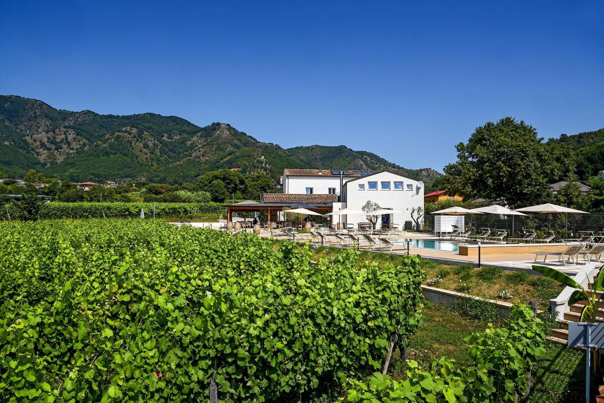Agriturismo Guerritore Барониси Екстериор снимка